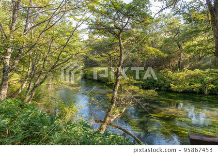 奧日光戰場原漫步 95867453