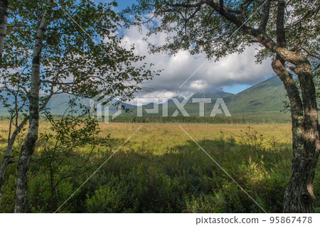 Okunikko Senjogahara Stroll 95867478