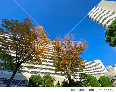 東京板橋高島平住宅區 東京板橋高島平住宅區 95867639