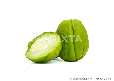 Fresh Chayote Sechium edulis on white background Fresh Chayote Sechium edulis on white background 95867734