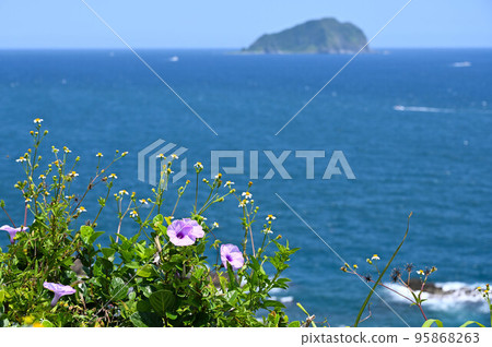 坑玉花、筱之草、牽牛花、坑玉、坑玉子、本子草、狗耳草、金孃、碗公花、碗子花、碗花、喇喇叭花、裂葉坑玉 坑玉花、筱之草、牽牛花、坑玉、坑玉子、本子草、狗耳草、金孃、碗公花、碗子花、碗花、喇喇叭花、裂葉坑玉 95868263