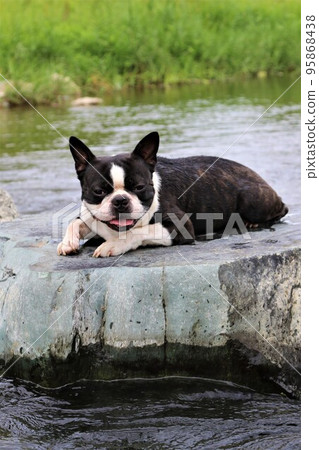 常岐川町的常岐川是河中游玩的熱門地點。 常岐川町的常岐川是河中游玩的熱門地點。 95868438