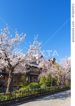 Shirakawa Minami-dori in spring in Gion, Kyoto 95868953