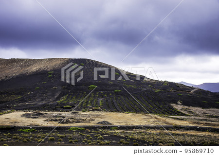 The Wine Valley of La Geria - Lanzarote, Spain 95869710
