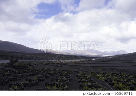 The Wine Valley of La Geria - Lanzarote, Spain 95869711