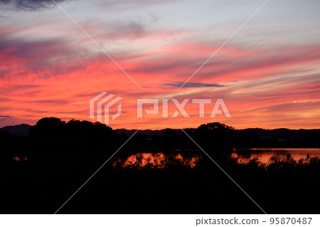 Miyajima marsh dyed in the setting sun and a flock of white-fronted geese 95870487