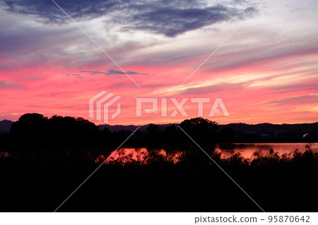 Miyajima marsh dyed in the setting sun and a flock of white-fronted geese 95870642