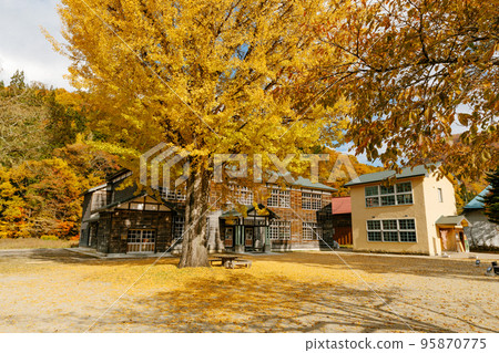 A wooden school building and a ginkgo tree in autumn colors A wooden school building and a ginkgo tree in autumn colors 95870775