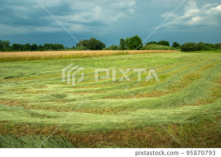 Mown rural meadow and cloudy rainy sky 95870793