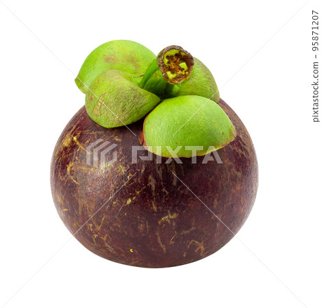 Ripe mangosteen fruit isolated on a white background Ripe mangosteen fruit isolated on a white background 95871207