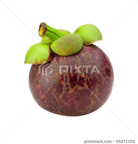 Ripe mangosteen fruit isolated on a white background Ripe mangosteen fruit isolated on a white background 95871208