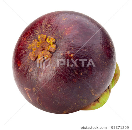 Ripe mangosteen fruit isolated on a white background Ripe mangosteen fruit isolated on a white background 95871209