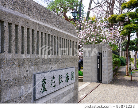 Spring Roka Koshunen，Tokutomi Roka Old Residence（東京世田谷區） 95871228