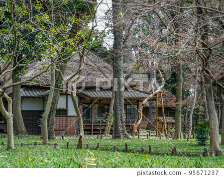 Spring Roka Koshunen, Tokutomi Roka Old Residence (Setagaya Ward, Tokyo) 95871237