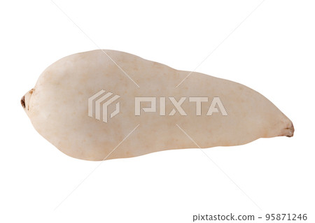 Japan Sweet potato isolated on white background. 95871246