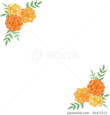 Marigold flower frame watercolor illustration material 95871513
