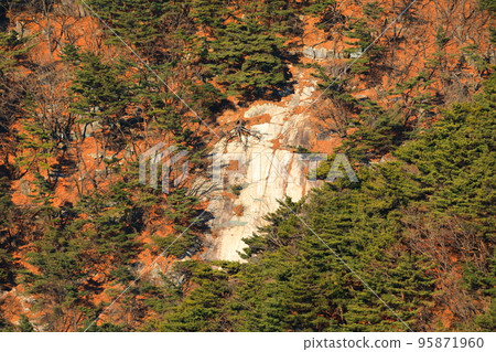 Palgongsan, cable car, climbing, autumn, autumn leaves, fallen leaves, walking, Palgongsan, cable car, climbing, autumn, autumn leaves, fallen leaves, walking, 95871960