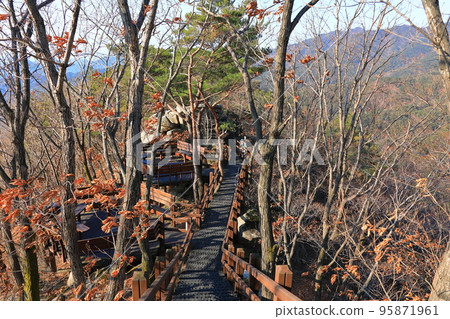 Palgongsan, cable car, climbing, autumn, autumn leaves, fallen leaves, walking, Palgongsan, cable car, climbing, autumn, autumn leaves, fallen leaves, walking, 95871961
