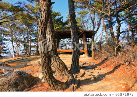 Palgongsan, cable car, climbing, autumn, autumn leaves, fallen leaves, walking, 95871972