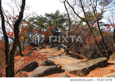 Palgongsan, cable car, climbing, autumn, autumn leaves, fallen leaves, walking, Palgongsan, cable car, climbing, autumn, autumn leaves, fallen leaves, walking, 95871976