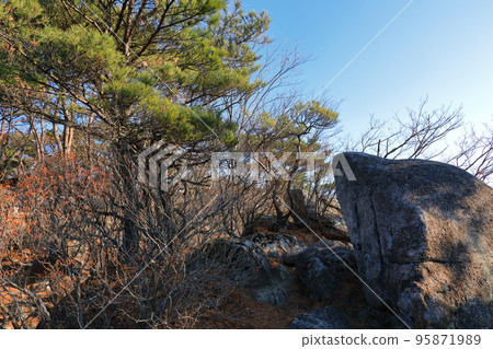 八公山,纜車,登山,秋天,秋葉,落葉,步行, 八公山,纜車,登山,秋天,秋葉,落葉,步行, 95871989
