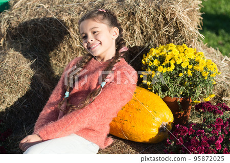 Pumpkin time. Girl adorable child with big pumpkin rustic background. Thanksgiving halloween or harvest day. Fall holidays. Small kid and pumpkin on sunny day outdoors. Collecting pumpkin harvest 95872025