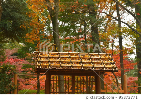 Azumaya wrapped in autumn leaves 95872771