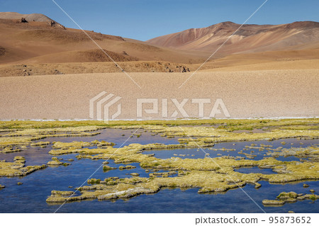 Salar de Atacama volcanic landscape and salt lake in Atacama Desert, Chile 95873652