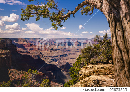 Grand Canyon south rim and Colorado River at sunset with tree, Arizona, USA Grand Canyon south rim and Colorado River at sunset with tree, Arizona, USA 95873835