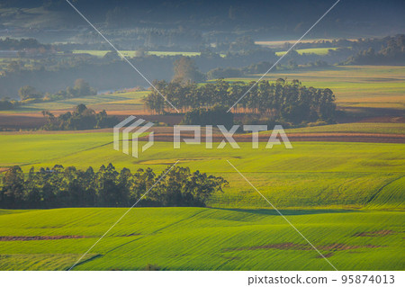 Southern Brazil countryside and meadows landscape at peaceful sunrise 95874013