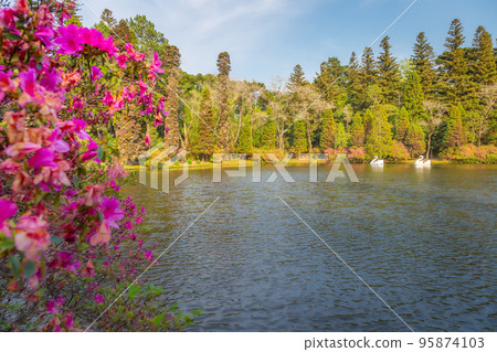 Lago Negro Black Lake with Swan Pedal Boat , Gramado, Rio Grande do Sul, Brazil 95874103