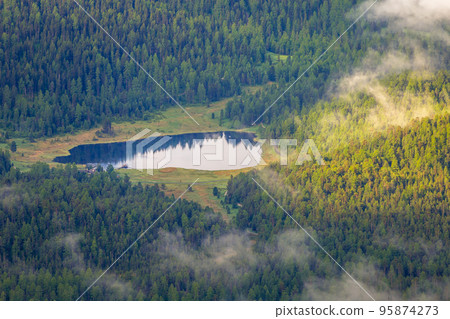 Staz Lake in secluded pine woodland of St Moritz from Muottas Muragl, Engadine 95874273