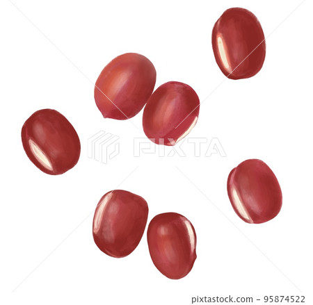 Illustration of red beans (hand drawn) Illustration of red beans (hand drawn) 95874522