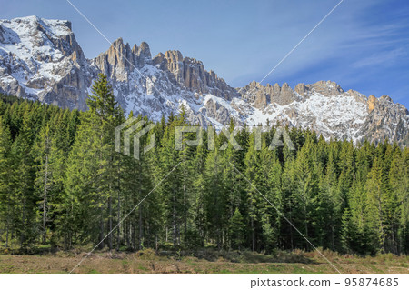 Alpine meadows near Cortina D Ampezzo with Dolomites alps, Italy 95874685