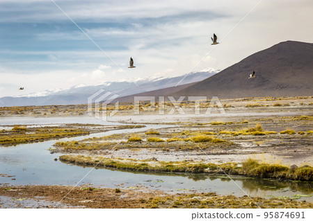 Salar de Atacama volcanic landscape and salt lake in Atacama Desert, Chile Salar de Atacama volcanic landscape and salt lake in Atacama Desert, Chile 95874691