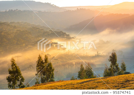 Southern Brazil countryside and meadows landscape at peaceful sunrise Southern Brazil countryside and meadows landscape at peaceful sunrise 95874741