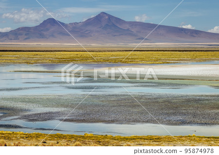 Salar de Atacama volcanic landscape and salt lake in Atacama Desert, Chile Salar de Atacama volcanic landscape and salt lake in Atacama Desert, Chile 95874978