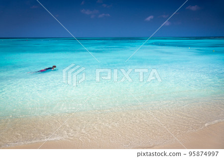 Aruba idyllic caribbean beach at sunny day, Dutch Antilles, Caribbean Sea 95874997