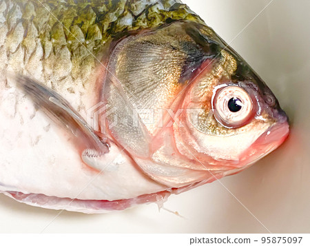 中國菜，鯉魚 95875097