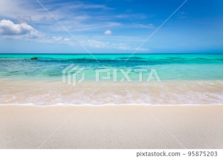 Idyllic and translucent caribbean beach at sunny day in Aruba Idyllic and translucent caribbean beach at sunny day in Aruba 95875203