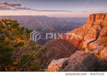 Grand Canyon south rim and Colorado River at sunset with tree, Arizona, USA Grand Canyon south rim and Colorado River at sunset with tree, Arizona, USA 95875232