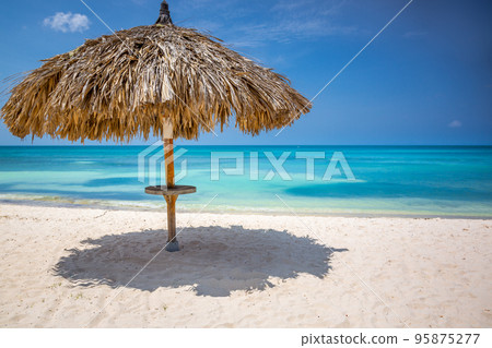 Aruba idyllic caribbean beach at sunny day with rustic palapa, Dutch Antilles 95875277
