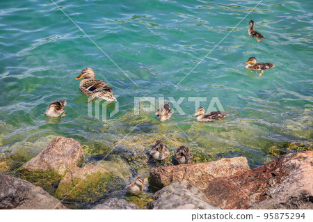 Idyllic lake Garda coastline in Lazise with boat, Northern Italy 95875294