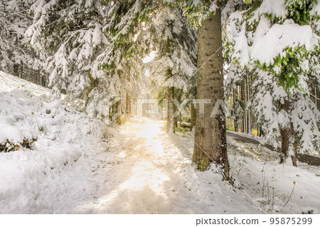Alpine trail between Bavarian Alps and Austrian Tyrol at autumn, after snow 95875299