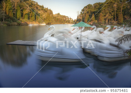 Lago Negro Black Lake with Swan Pedal Boat, Gramado, Rio Grande do Sul, Brazil Lago Negro Black Lake with Swan Pedal Boat, Gramado, Rio Grande do Sul, Brazil 95875481