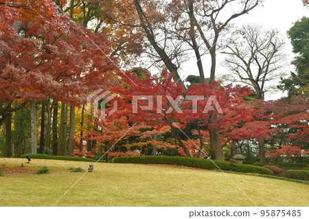 秋葉日本庭院 秋葉日本庭院 95875485