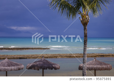 Porto Seguro Beach at sunny day with tropical tree and palapas in BAHIA, Brazil Porto Seguro Beach at sunny day with tropical tree and palapas in BAHIA, Brazil 95875891
