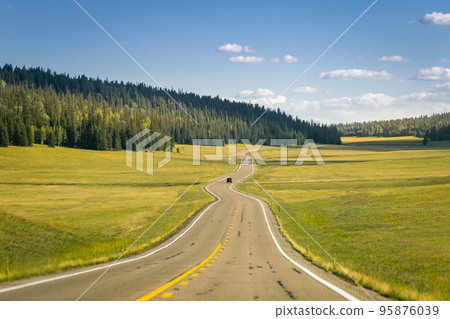 Road with Kaibab meadows and pines to Grand Canyon North Rim, Arizona, USA 95876039