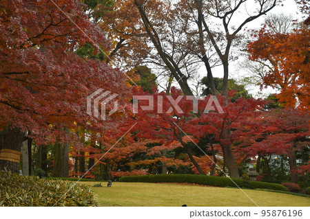 Japanese garden of autumn leaves 95876196
