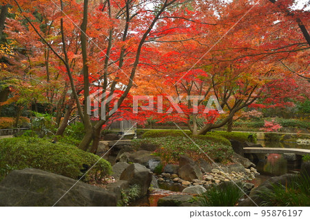 Japanese garden of autumn leaves 95876197